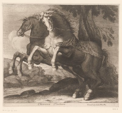 Steigernde Pferde von Charles II Errard (attributed to)