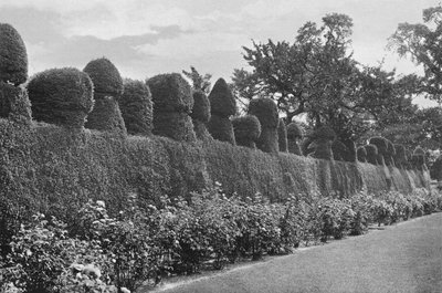 Fulford Hall: Exzentrische Formschnittarbeiten von Charles Latham