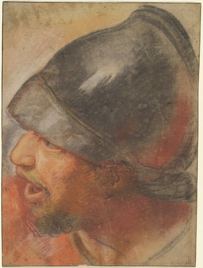 Kopf eines makedonischen Soldaten von Charles Le Brun