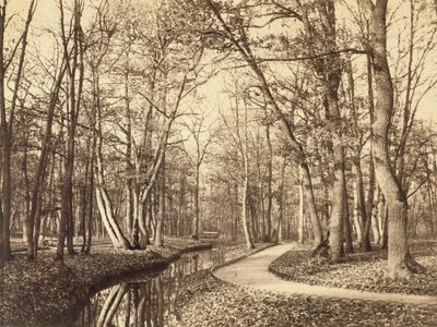 Bois de Boulogne, Paris von Charles Marville