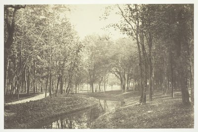 Ohne Titel [Bäume in der Nähe von Wasser im Bois de Boulogne, einem Park in Paris] von Charles Marville