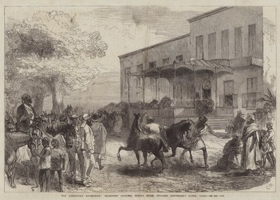 Die abessinische Expedition, Transportoffiziere kaufen Maultiere gegenüber dem Shepheard
