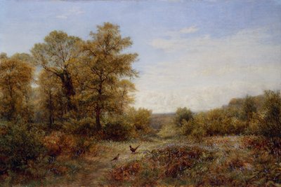 Das Zuhause des Fasans von Charles Thomas Burt