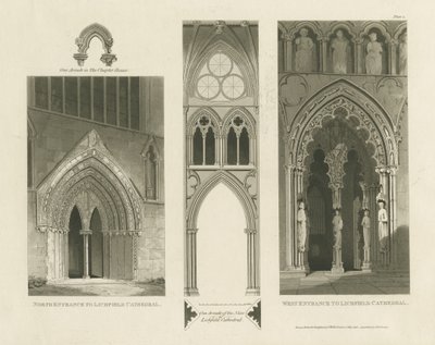 Kathedrale von Lichfield - Westportal, Nordportal und Schiff (Aquatinta-Stich) von Charles Wild