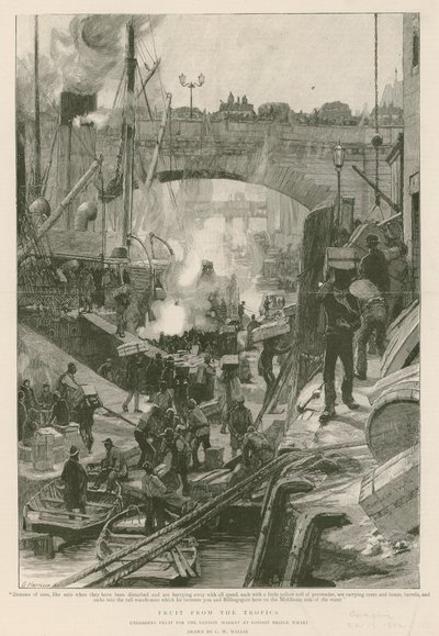 Früchte aus den Tropen von Charles William Wyllie
