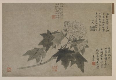 Ein Zweig Holzpfingstrose, möglicherweise Qing-Dynastie von Chinese School