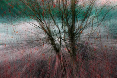 Naturausbruch von Chris Hamilton