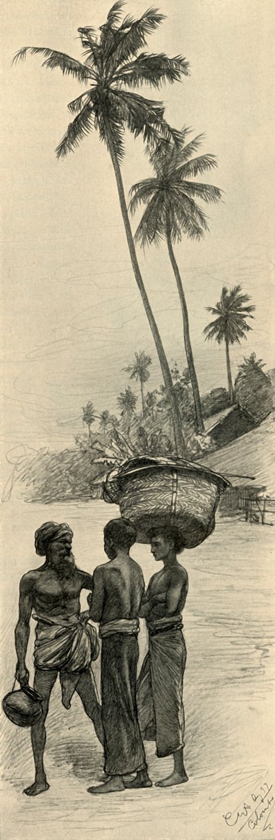 Gruppe von Männern, Colombo, Ceylon, 1898 von Christian Wilhelm Allers