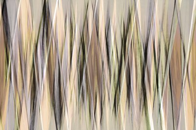 Abstrakte erdige Linien von Christina Sillen