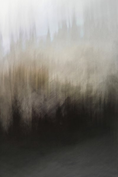 Abstrakte Waldgelassenheit von Christina Sillen