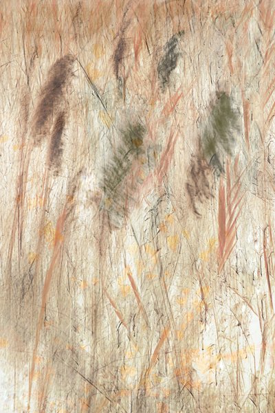 Erdige Graslandtextur von Christina Sillen