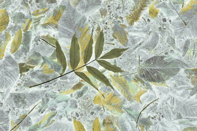 Verblasste Herbstblätter von Christina Sillen
