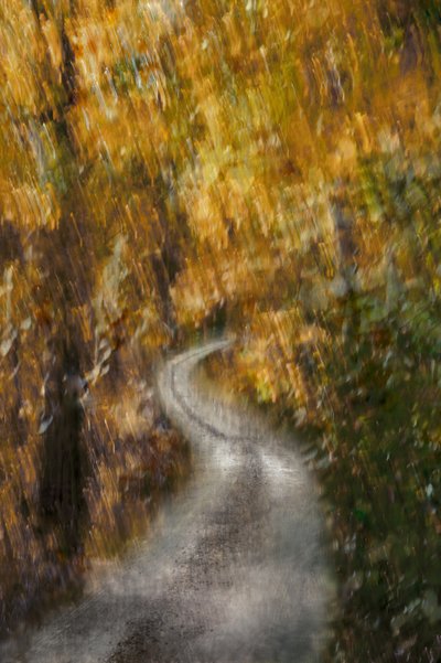 Goldene Herbststraße von Christina Sillen