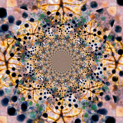 Komplexes organisches Kaleidoskop von Christina Sillen