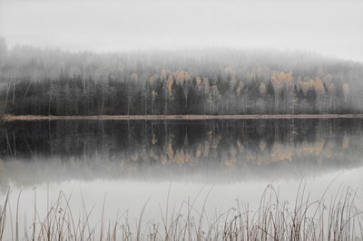 Nebliger Herbstsee von Christina Sillen