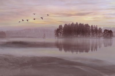 Nebliger See Vogel Flug von Christina Sillen