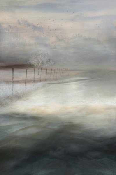 Neblige Winterlandschaft von Christina Sillen