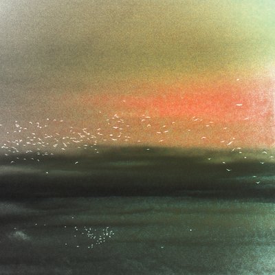 Ozeanvögel Roter Himmel von Christina Sillen