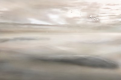 Schwanengesang zum Nebel von Christina Sillen