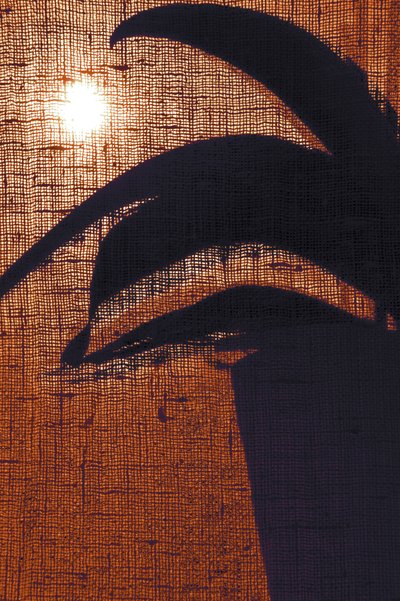 Warme Pflanzensilhouette von Christina Sillen