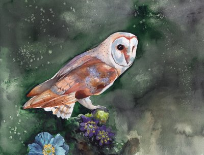 Nachtaktive Schleiereule von Christine Lindstrom