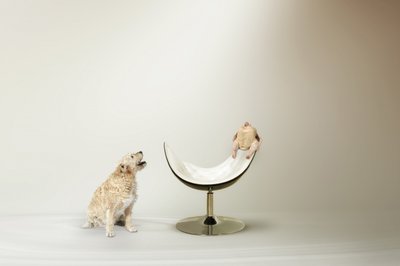 Hundes Hühnerdilemma von Christine von Diepenbroek
