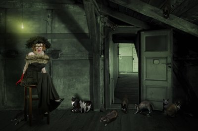 Exzentrische Frau auf dem Dachboden von Christine von Diepenbroek
