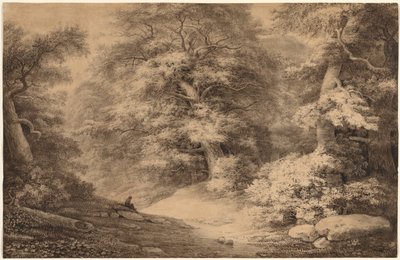 Ein Buchenwald mit einem ruhenden Reisenden, 1803 von Christoph Nathe