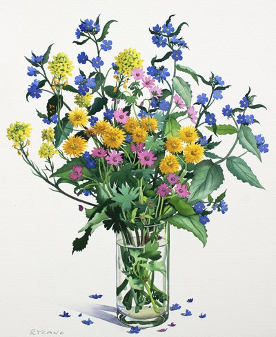 Wildblumen mit Alkanet, 2021 von Christopher Ryland