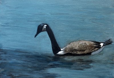 Gans auf ruhigem Wasser von Claire Lerner
