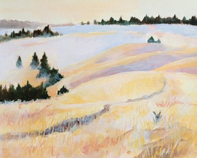 Friedliche Goldene Felder von Claire Whitehead