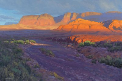 Wüsten-Sonnenuntergangs-Glühen von Cody DeLong
