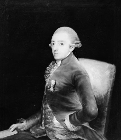 Don Bernardo de Iriarte 1735-1814 von Copy after Goya