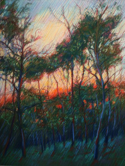 Wald Sonnenuntergangsglanz von Corné Akkers