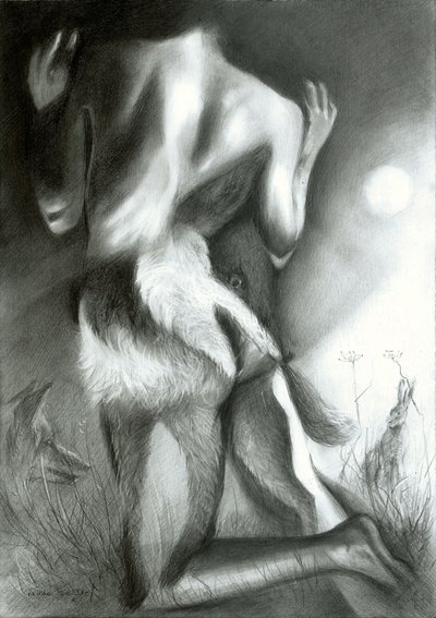 Mondschein-Dachs-Transformation von Corné Akkers