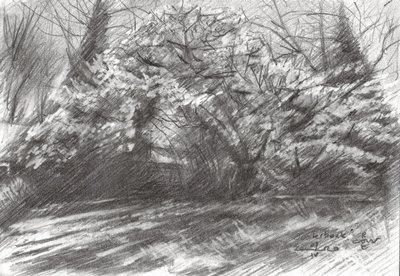Sonniger Waldweg von Corné Akkers