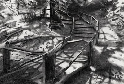 Gewundene Waldtreppen von Corné Akkers