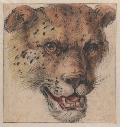  von Cornelis Saftleven