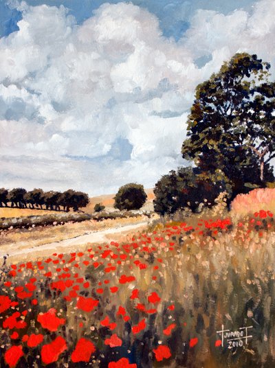 Wilde Mohnblumen, Hertfordshire von Cruz Jurado Traverso