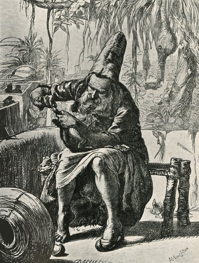 Der Derwisch zupft die Haare vom Katzenschwanz, 1906 von Dalziel Brothers