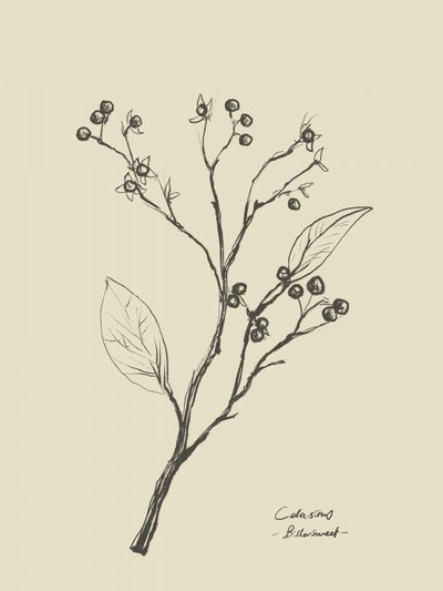 Floral 2 von Dan Hobday