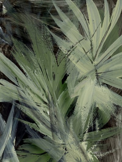 Wald von Dan Hobday