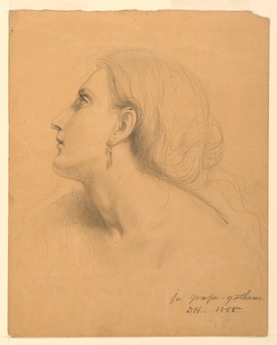 Studie für "Traubensammler", Juli 1855 von Daniel Huntington