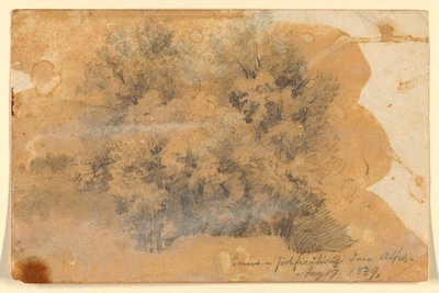 Studie von Bäumen, Genf von Daniel Huntington