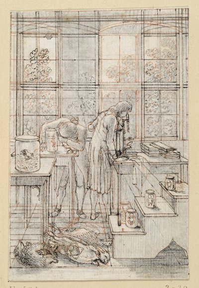 Zeichnung zum Titelkupfer der Naturgeschichte von Blumenbach: Zwei Naturforscher bei mikroskopischen Untersuchungen. E. 585 von Daniel Nikolaus Chodowiecki