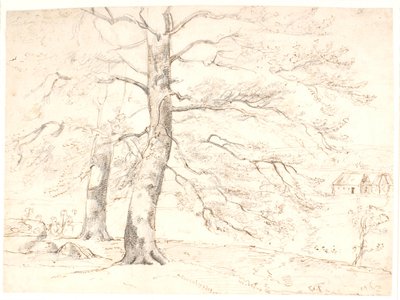 Aussicht über eine Landschaft, im Vordergrund große Buchen von Dankvart Dreyer