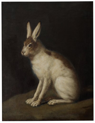 Hase von David Klöcker Ehrenstrahl