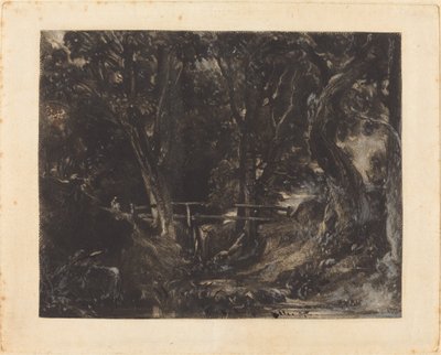 Ein Tal im Helmingham Park, Suffolk von David Lucas after John Constable