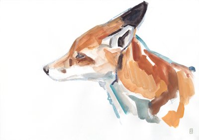 Rotfuchs-Porträt, 2021 von David Mayer