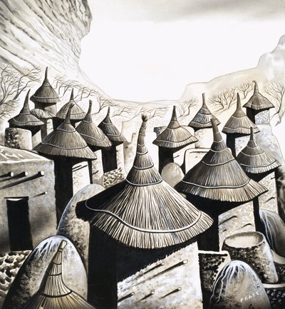 Primitive Häuser: Die Dächer der Banani von David Pratt